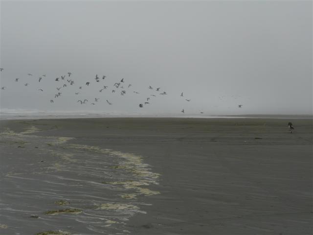 [Oct23+018+(Small).jpg]