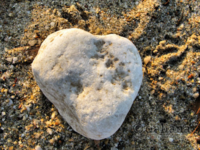 Photographis: Like a Rolling Stone