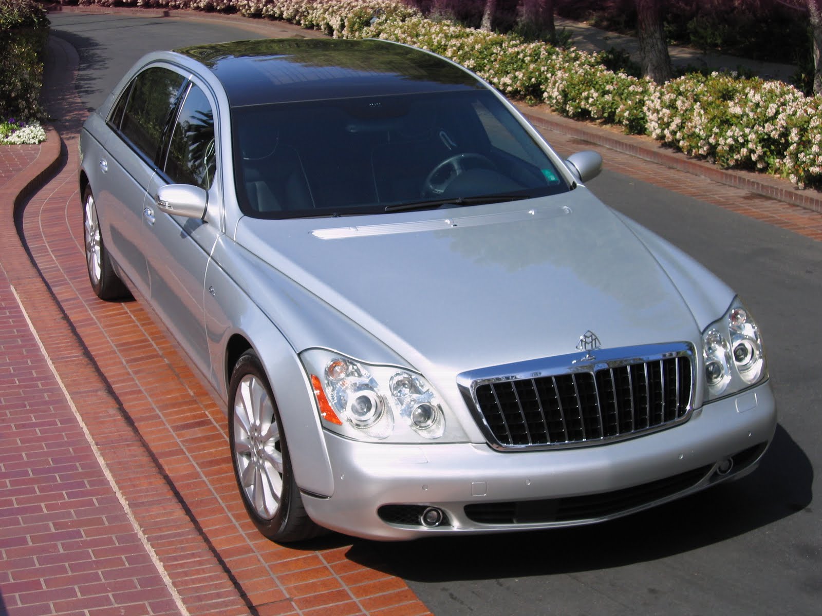 Baby d maybach