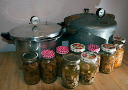 mushrooms canning pressure wild canner pickled matsutake chanterelles canned walks moss soup left