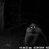 Trailcam Captures Mysterious Demonic Creature