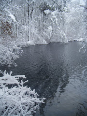 Pond