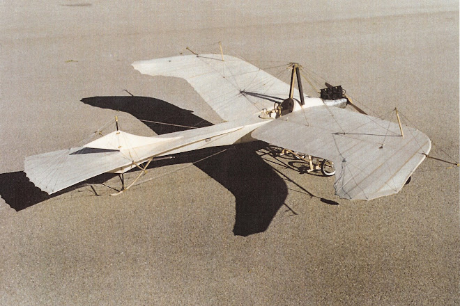 Taube Serie A/B (Lohner)