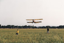 Albatros B I