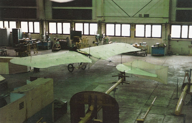 Grade Libelle in der Yachtwerft