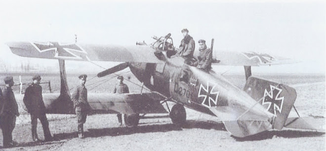 Roland C.II Walfisch