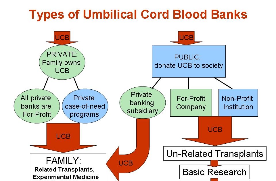 The Basic of Cord Blood Banking ~ kumpulan puisi dan kata 