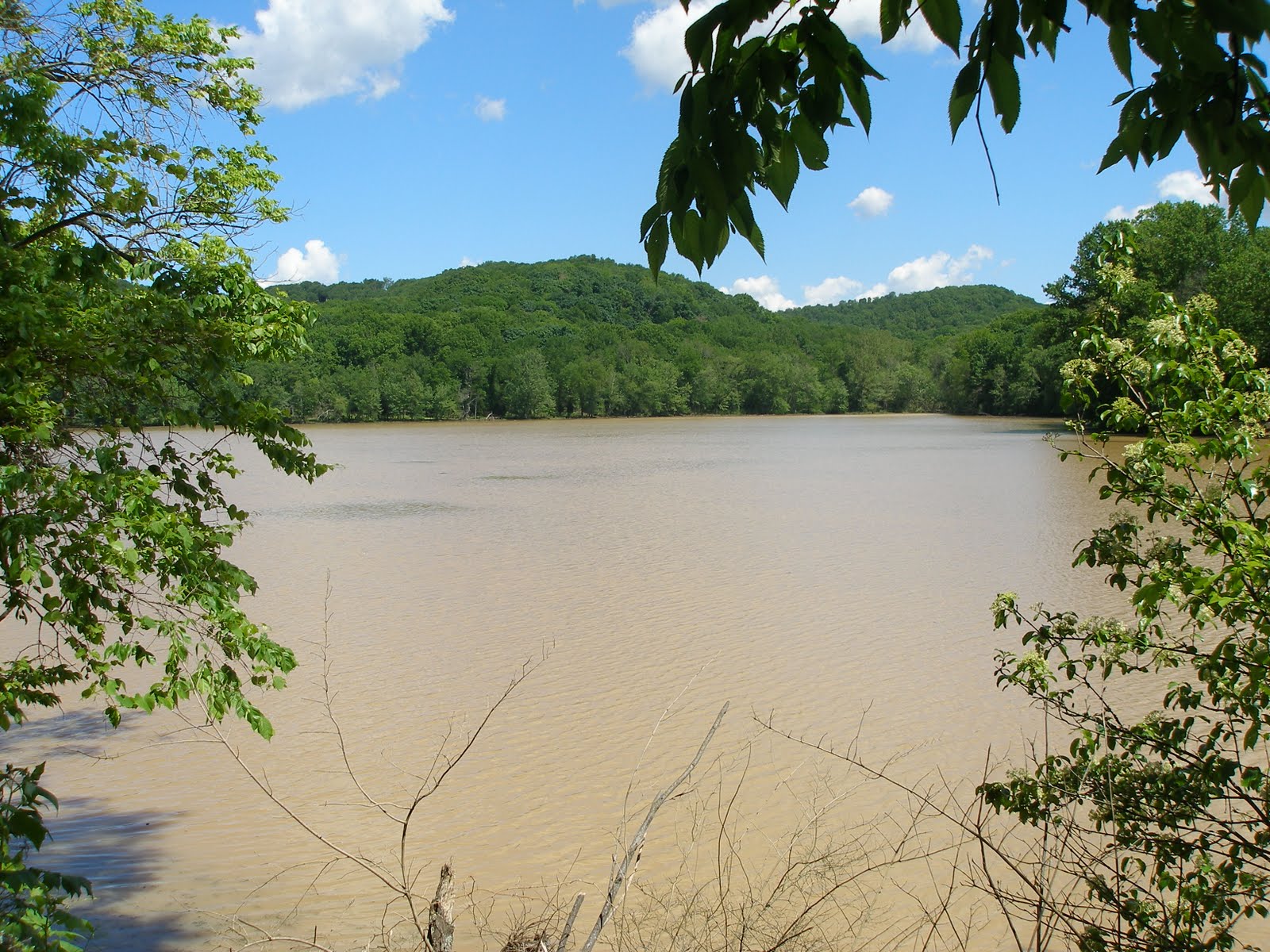 The Jenk Adventure Home and then Rain