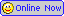 [online1.gif]