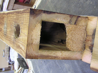 Montana Wildlife Gardener: Spring cleaning for the nest boxes