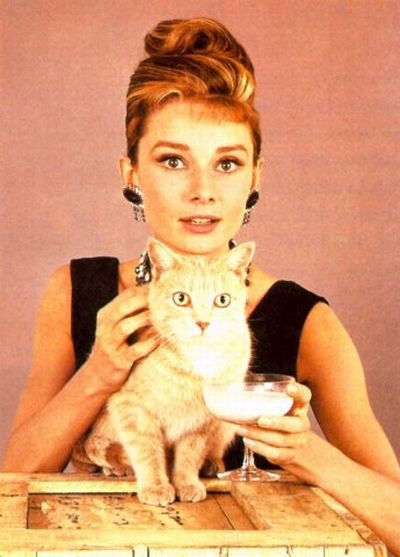 [famous_people_and_their_cats_26.jpg]