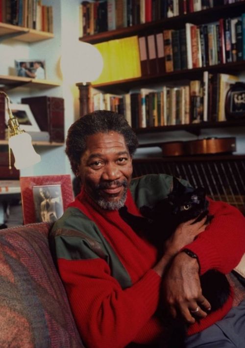 [famous_people_and_their_cats_33.jpg]