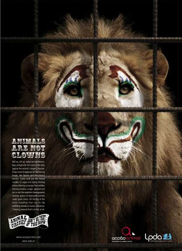 Lion Naive lion by WOW Barbie