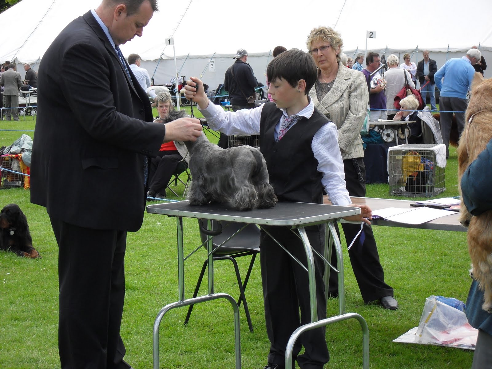 Spey Valley Dog Training Club Dundee Canine Club
