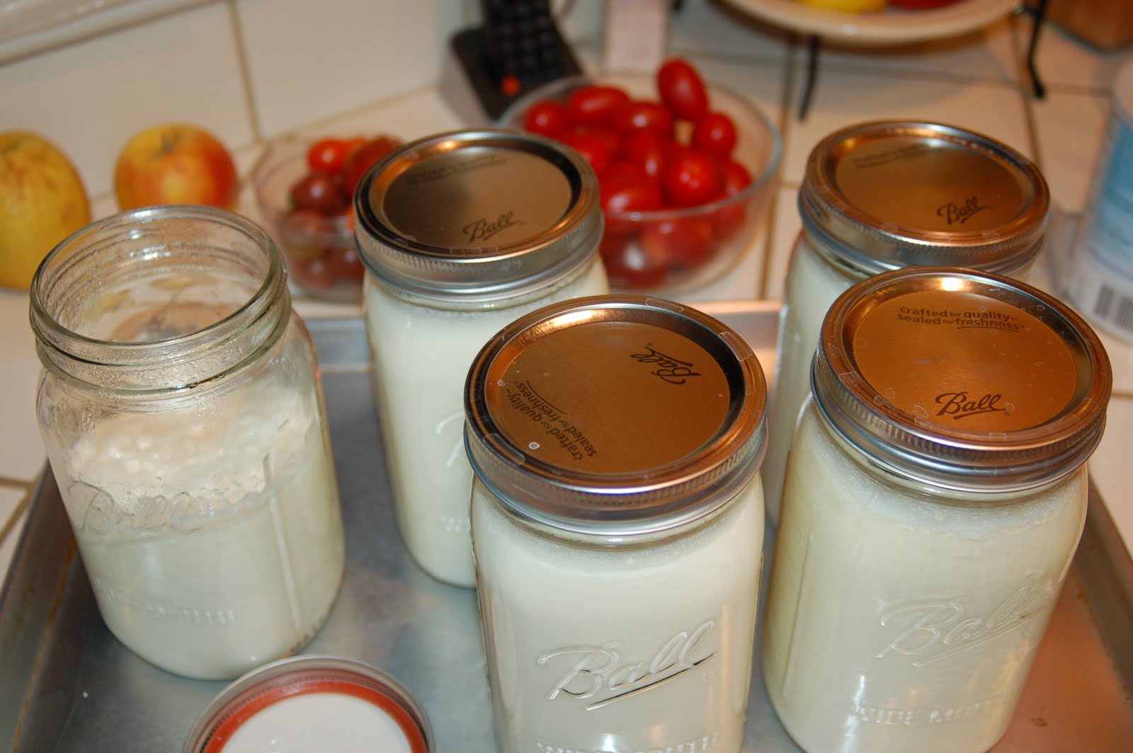 A Handful of Fun Homemade Yogurt