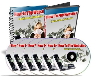 website flipping income generation