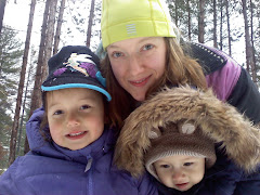 Winter in Wisconsin