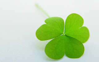 4 Leaves Clover Valentines Day HD Wallpaper