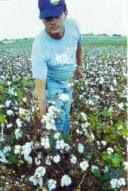 Πρόγραμμα  Ολοκληρωμένης  Διαχείρησης