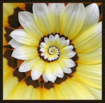 Spiral Flower