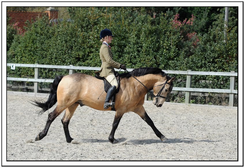 Hampshire Wedding Photographers Surrey equestrian event photographer