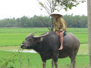 Mekong Bulls Dozer