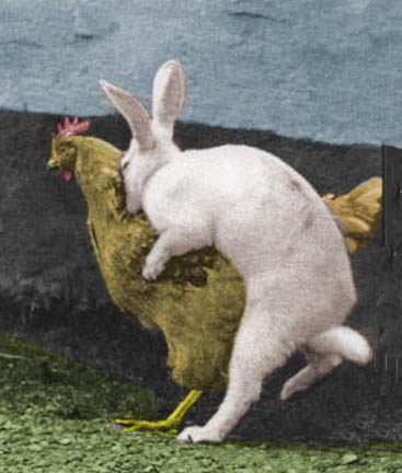 [bunny-hen.jpg]
