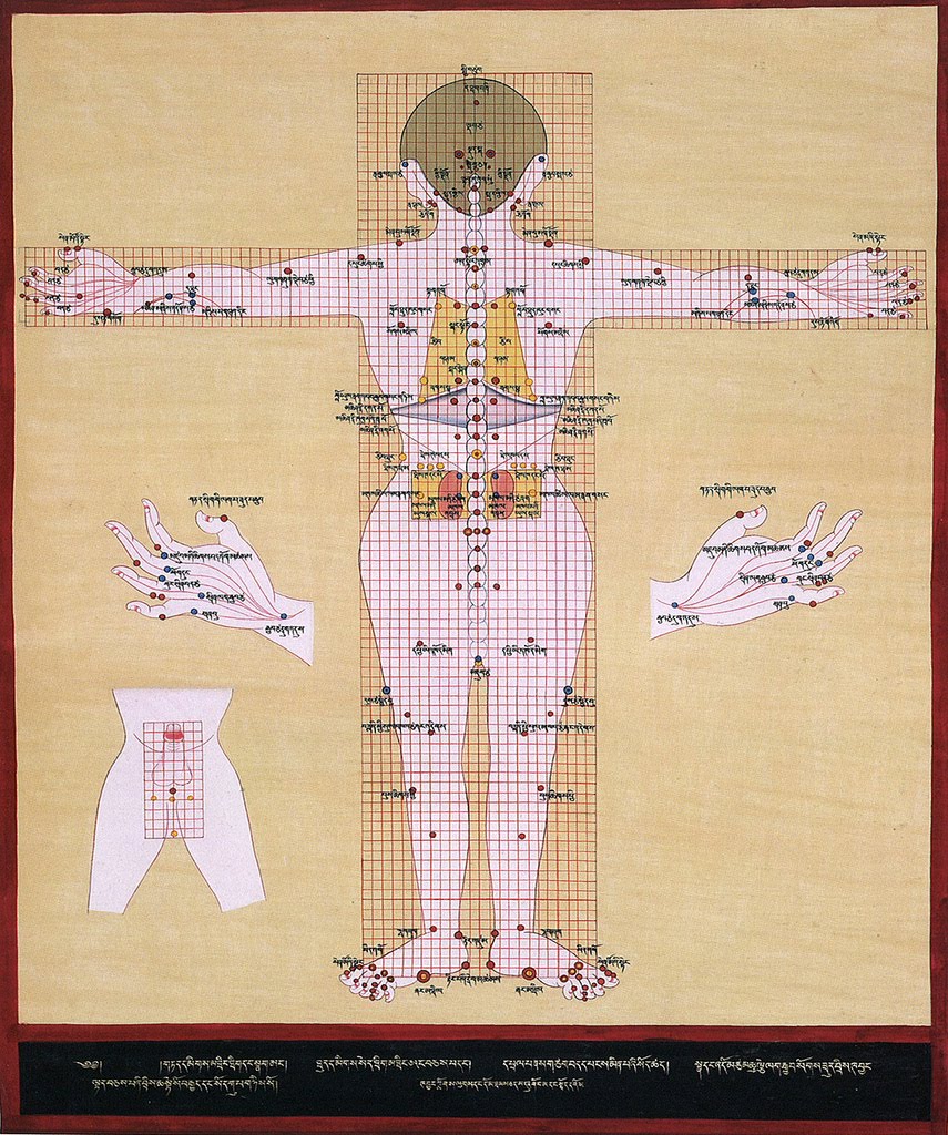 [3749588427_434f1879e6_b.jpg]