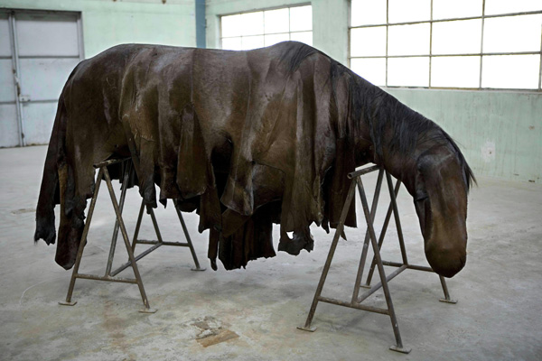 [1238685845577_002.jpg]