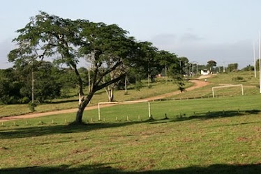 Fazenda Campos Novos