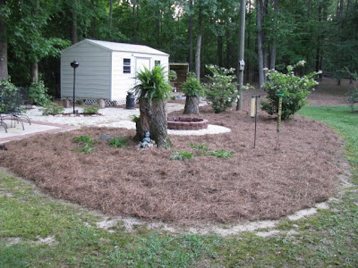 In the Garden: Pine Straw to Plants