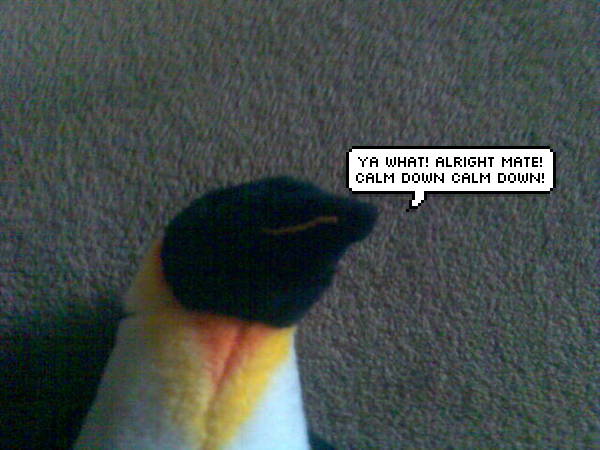 scouse penguin's blog