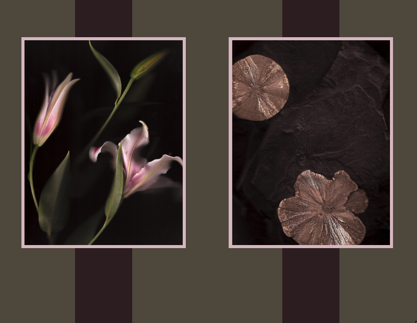 double scan of a pink lilly and stone