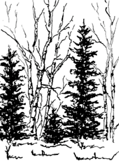 drawing of pine trees 