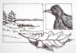 ink drawing of things seen at the cabin