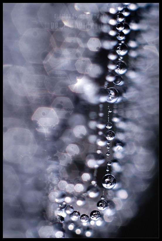 [diamonds_and_pearls_by_werol.jpg]