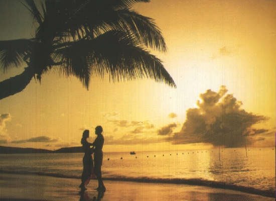 [sem+títulonuno.bmp]