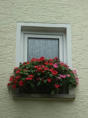 [213108123_365c3afaab.jpg]