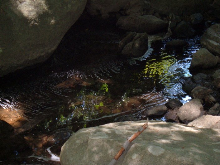 Looking Beneath the Surface