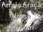 ARROIO ARAÇÁ - NOSSO RIO GURI