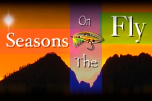 Seasons on the Fly