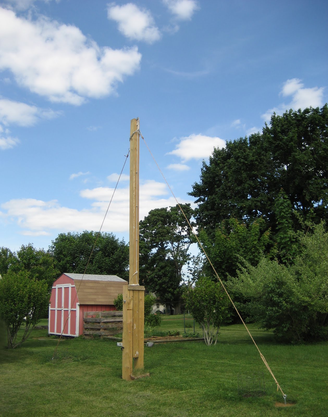 School Master Brewing Company Hops Trellis