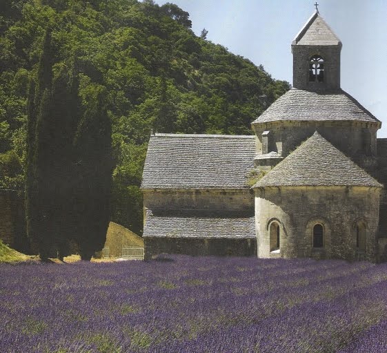Lavender in Provence, courtesy of Avignon-et-Provence, edited by lb for linenandlavender.net
