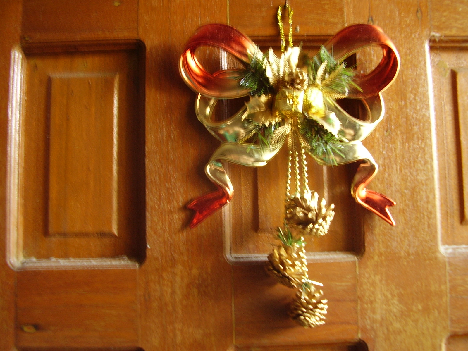 Laguna Life Time to get those Christmas decorations