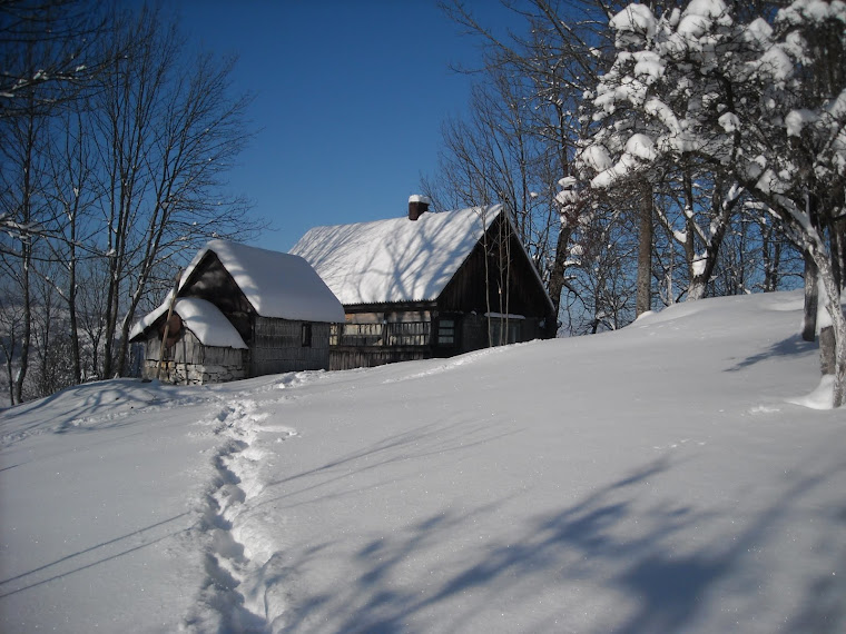 CERUL DE ACASĂ...Decembrie 2010...