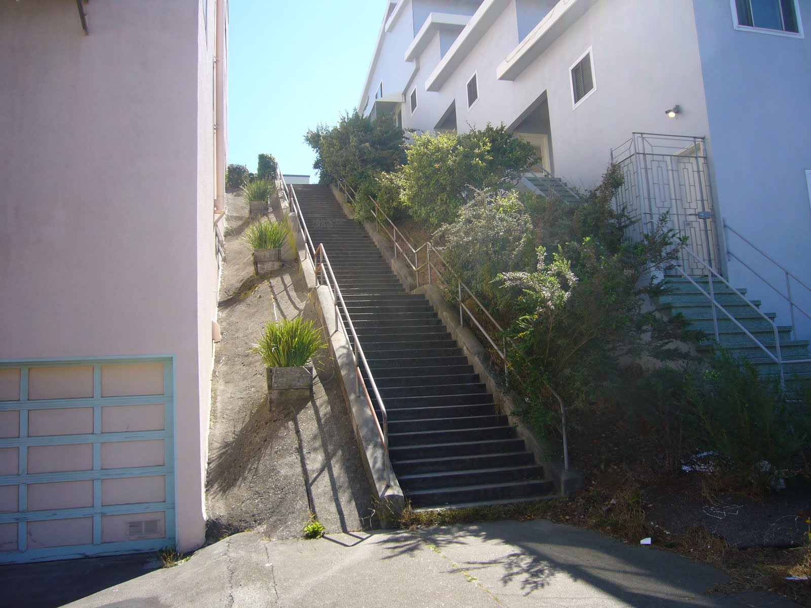 Walking San Francisco Anza Vista and the Haight