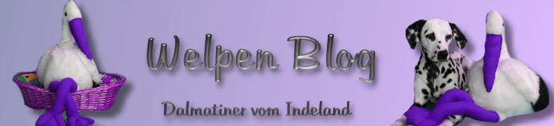 Welpen-Blog