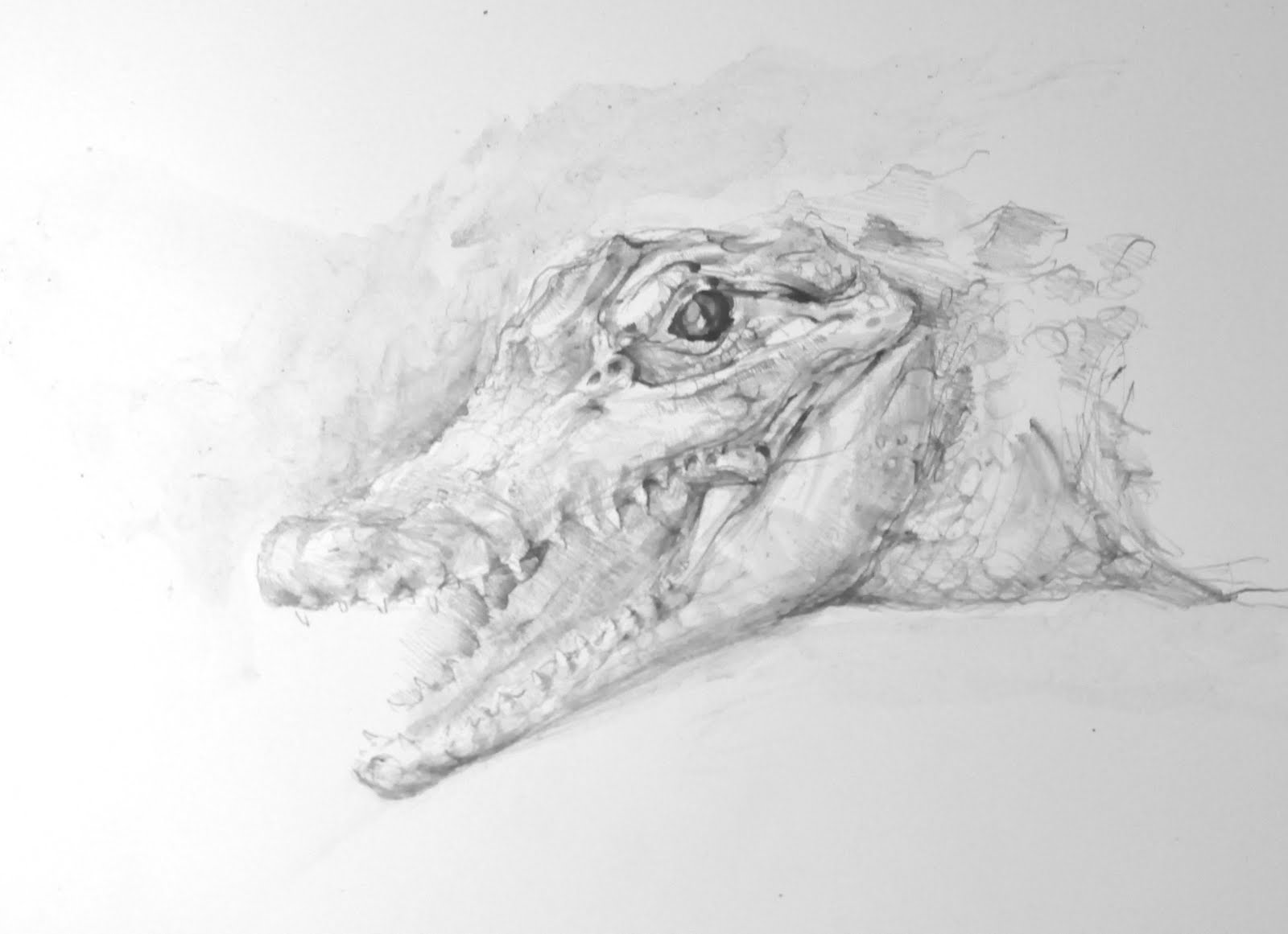 [springbreak+322a.JPG]