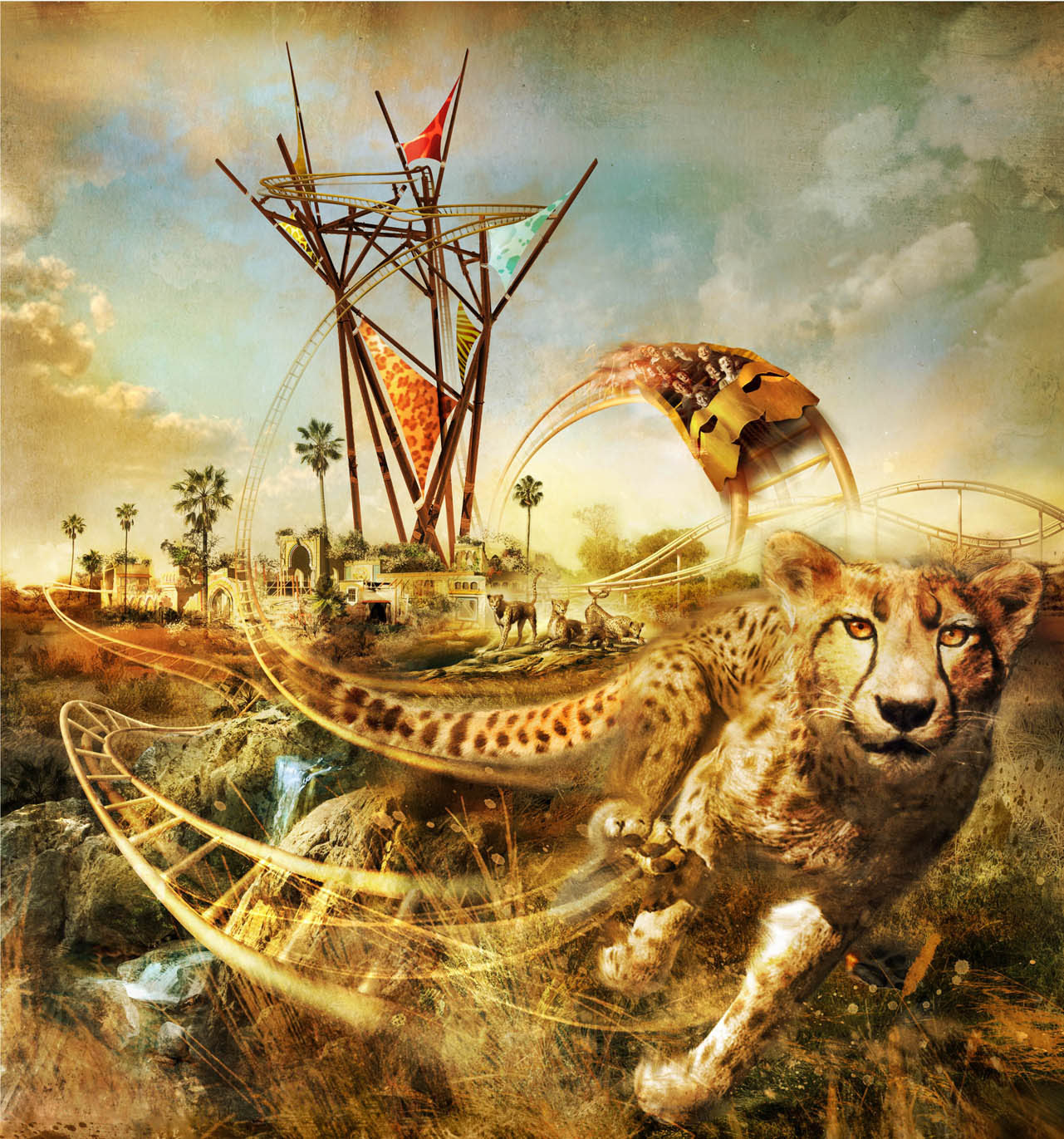 Through My Eyes: "Cheetah Hunt" Confirmed!