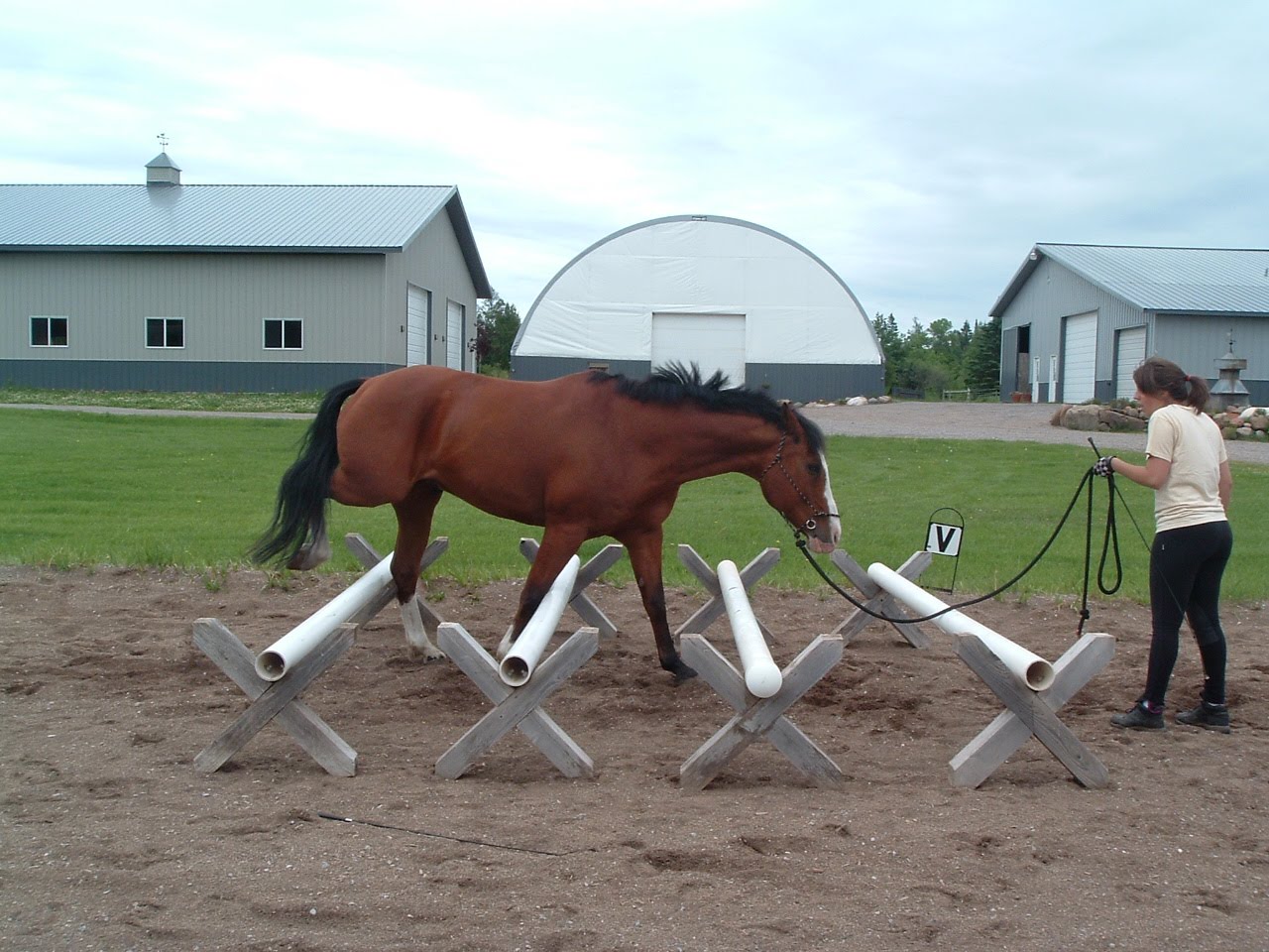 Trotting Down the Trail Core Training